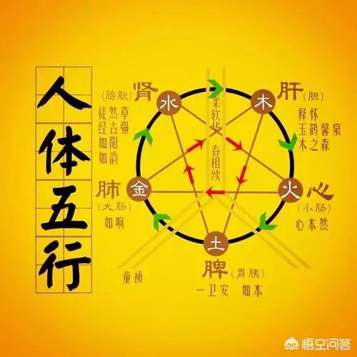 中国的五行是怎么得出来的？插图17