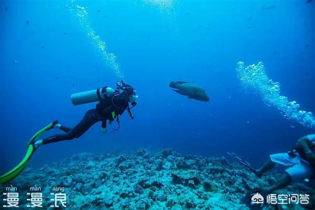 潜水胜地帕劳（帕劳潜水酒店）