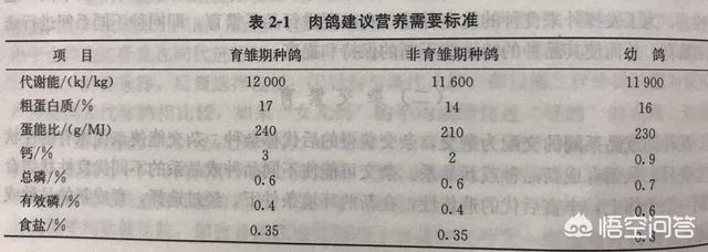 信鸽饲料配制:鸽子吃什么下蛋快，鸽子吃什么食物好？