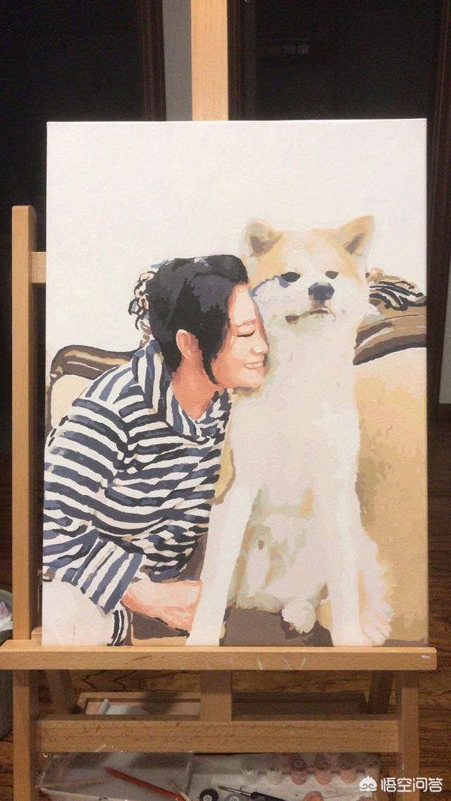 哈士奇智商低吗:哈士奇真的那么“蠢”吗？