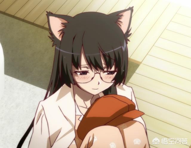 卡通猫图片大全可爱:动漫中有哪些猫娘美少女？ 猫图片可爱