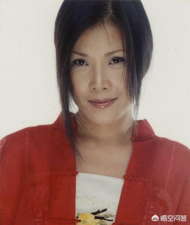 田震近况:田震近况如何，为什么一直没有她的消息？