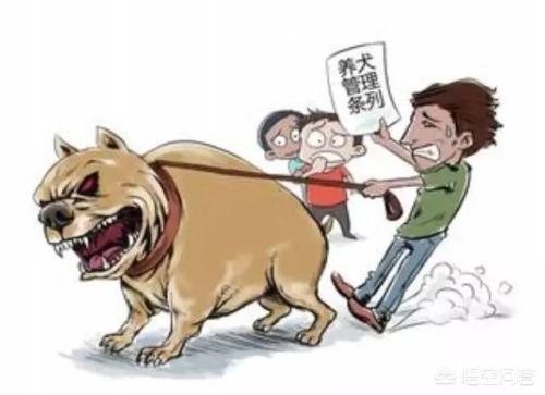 文明养狗新规该如何落地才能见效