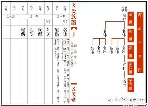 想修族谱,该怎样做呢？