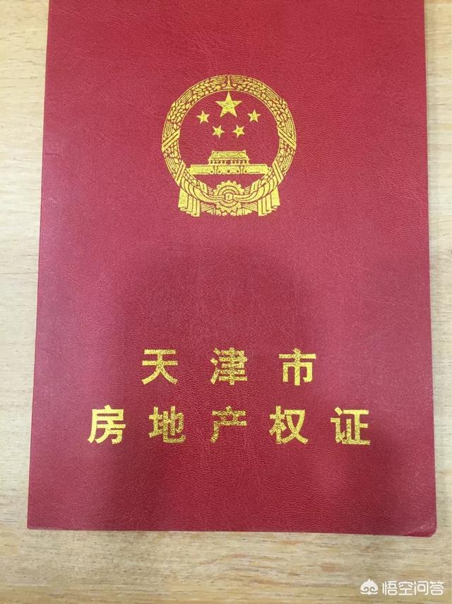 天津滨海獒园新獒:成吉思汗手下“四杰”，“四狗”，“四骏”分别是谁？