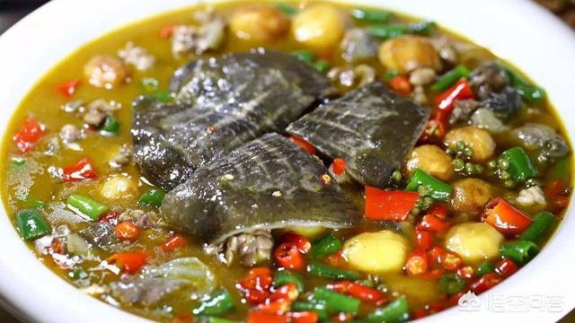 甲鱼怎么做补肾，浙江宁波的名菜“冰糖甲鱼”该怎么做