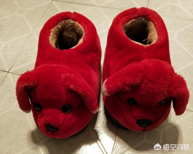 猫窝:猫窝怎么做手工制作 以前农村人冬天穿的保暖鞋“猫窝子”是怎么做的？真的保暖吗？