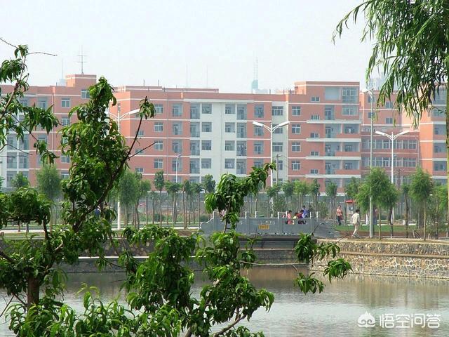 一只狗的大学生活时光:你们的大学是什么样的？你读大学时是个怎样的状态？