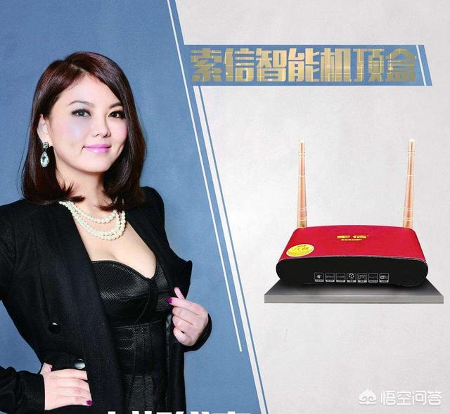 李湘简历:主持人李湘现在的收入来源是什么？