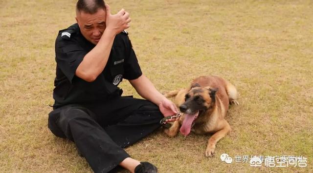 南昌警犬基地:曾春亮是不是根本没有上山，摩托车是从何而来的呢？