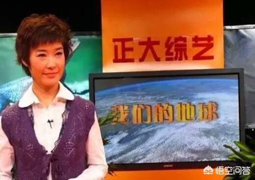 综艺大观主持人:是节目成就了主持人，还是主持人成就了节目？