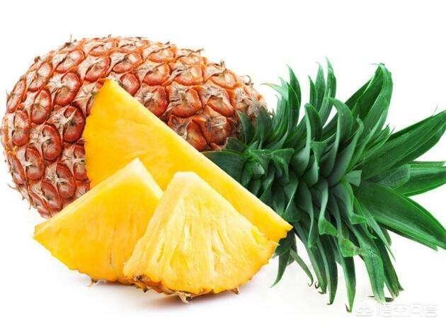 世界上最忧郁的狗狗:什么水果对狗狗来说，毒性是比较强的？
