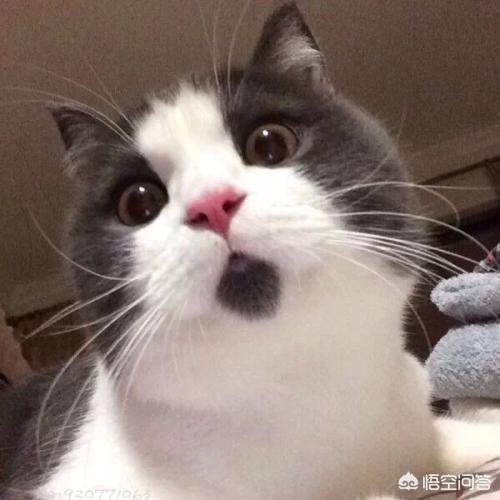 回顾2018年，哪些娱乐消息实在出乎你的意料？