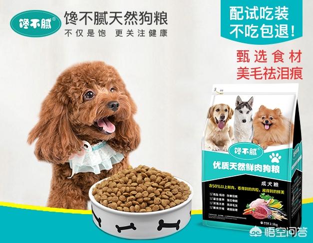 泰迪罚站一晚上视频:泰迪犬最不喜欢哪些惩罚？