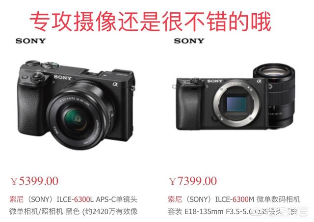 索尼RX100M5和索尼a6300怎么选？