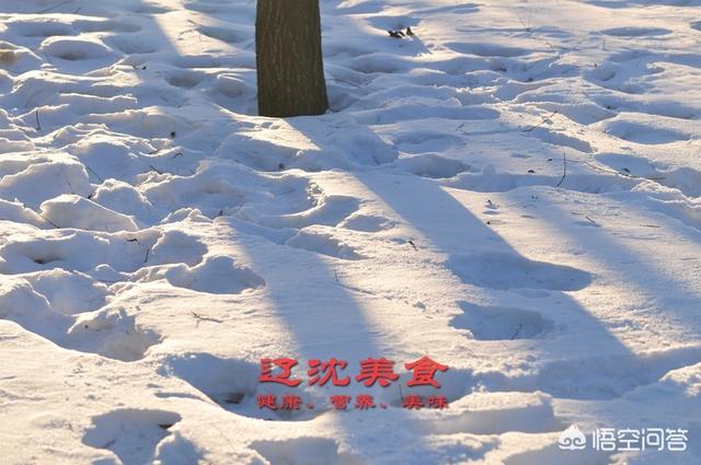 昆莱小雪人 刷小艺:东北人是怎样生活的，平时是吃些什么食物，冬天又是怎么过？