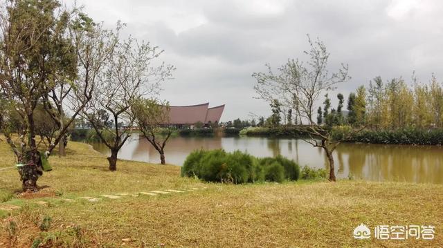 中国最宜居城市是哪里，中国健康宜居城市前十位，一线城市仅广州入选, 你怎么看？