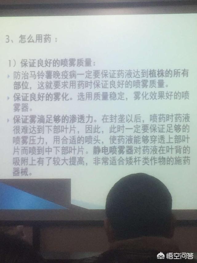 西北藏獒网手机微官网:黑猪哪个品种好 ,哪里有卖？ 西北藏獒网