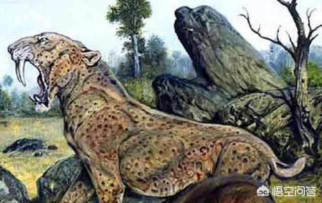 神农架目击紫色麒麟，“驴头狼”已灭绝50万年，却又出现在神农架地区，这警示着什么