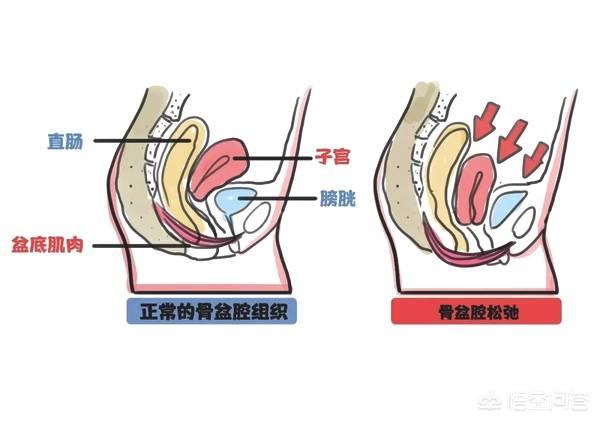 泌尿系统解剖图:前列腺增长的患者很多，医生为什么不会把最好药物告诉患者治愈？