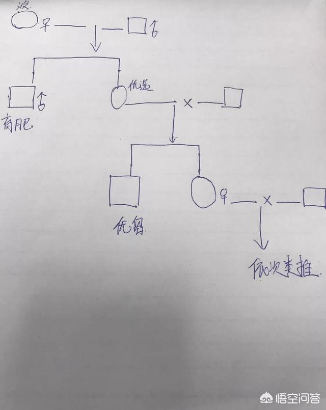 公羊兔与塞北兔杂交是什么兔:小尾寒羊能与湖羊杂交吗？