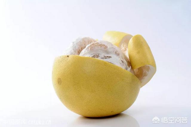 胃不好能吃柚子吗？