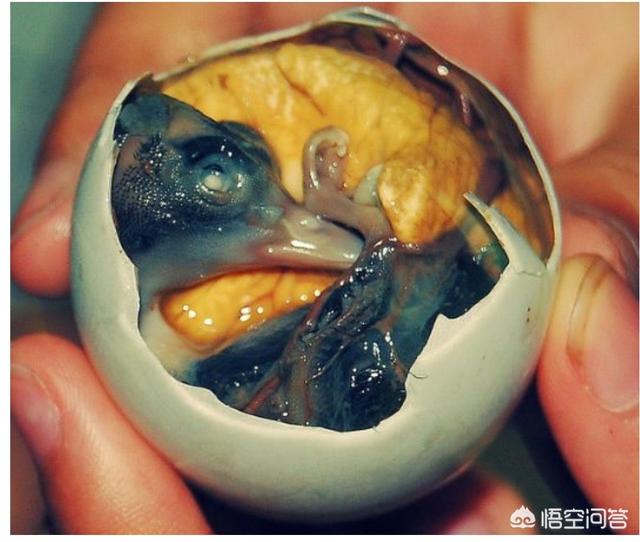 为什么中国的鹅肝不贵，有什么食物是外国人吃，中国人却不吃的