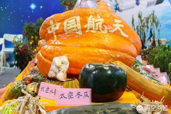 为什么上过太空的种子会结出比较大的果实?-图1