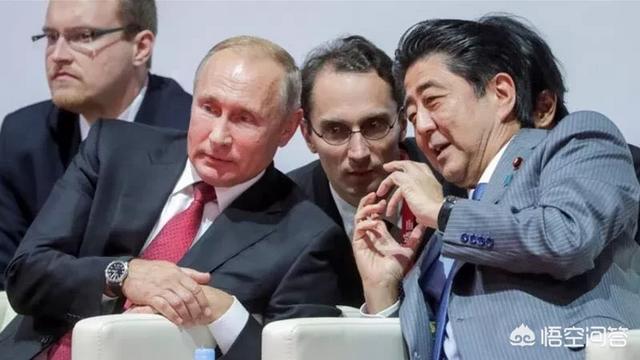安倍送普京秋田犬价格:安倍访俄同普京举行会谈，日本有希望拿回齿舞群岛和色丹岛吗？