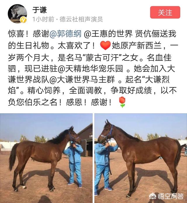 于谦宠物乐园地址:为什么有人说郭德纲“台上很张扬，台下做人其实挺低调”？