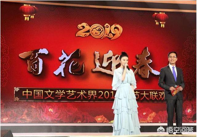 刘芳菲主持的节目:昔日央视综艺美女名嘴刘芳菲现状怎么样？