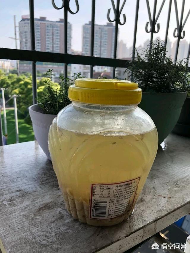 熟黄豆对虎皮兰的作用:煮熟的黄豆适合和复合肥掺在一起做肥料吗？