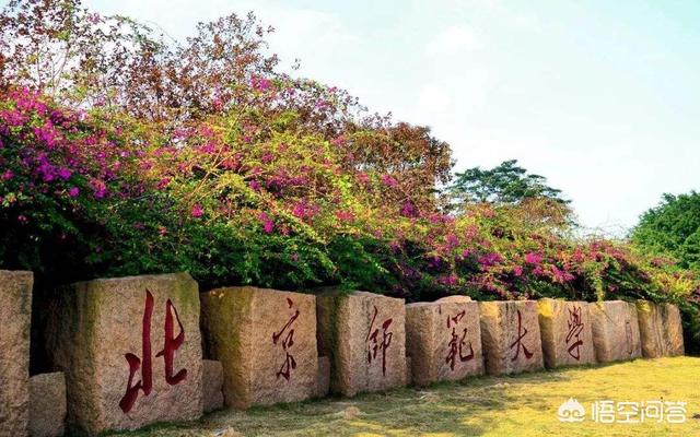 文科生适合的大学,学文科的孩子能报什么大学？