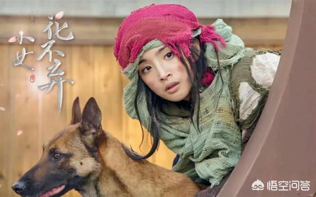 小女花不弃身世:《小女花不弃》电视剧，圣女到底有什么用？为什么王爷在找？