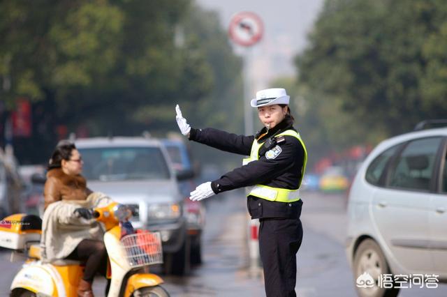 轿车宠物运输当日达方便快捷:汽车宠物托运价格表怎么运输宠物 运输猫狗，什么办法或工具最好？