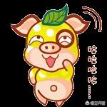 现在QQ和微信哪个更受欢迎