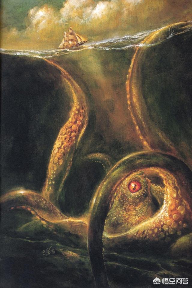 大王乌贼可以长到多大?历史上真有80米长的乌贼吗?