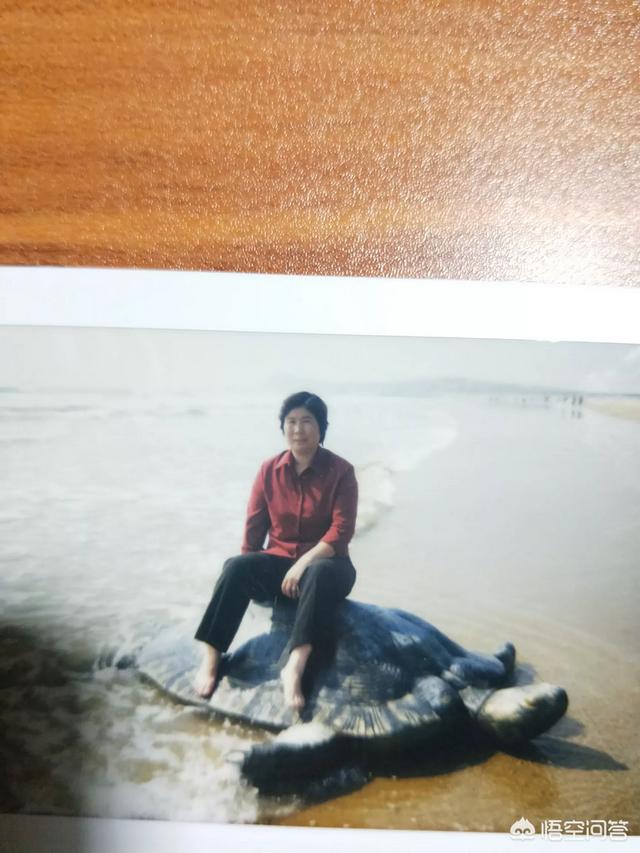 她的婚礼:前任邀请你去参加她的婚礼，并让你唱一首歌，你会唱哪首？