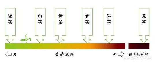 中国茶叶是怎么分类的？