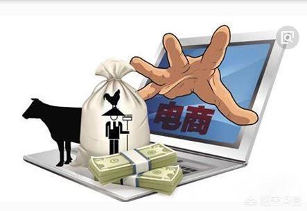 个人怎么做电商？想学电商,应该怎么样做？
