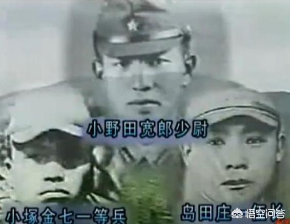 日本截尾猫会藏多久才出来:二战后，一名日本士兵为何独自躲在山洞里长达27年？ 日本截尾猫分布区域