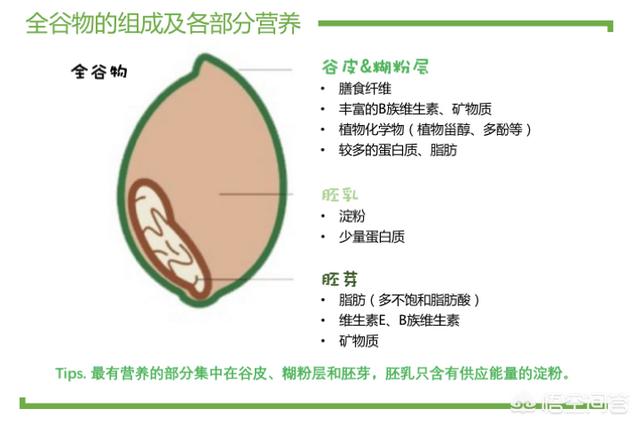 糙米和大米,哪个更有营养？