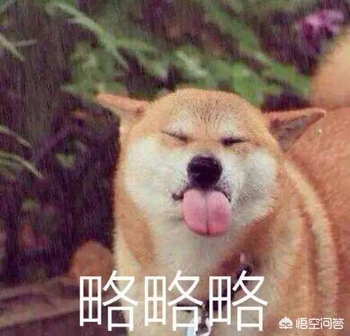 情人节收到最奇葩的礼物是什么？