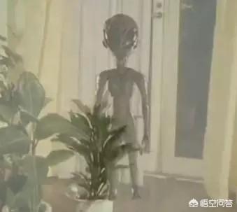 奥特曼里的搞笑灵异事件:有哪些本以为是细思极恐的恐怖故事，结果却是搞笑段子？