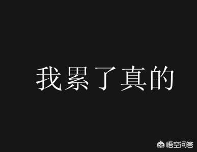 狗语言翻译机你知道我最恨什么么:你最恨的四样东西是什么？