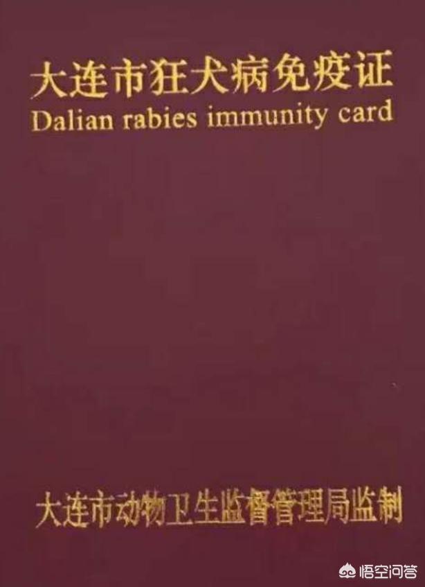 郑州那些狗办证:养狗证需要去哪里办理？需要多少钱？ 郑州农村最大的狗市