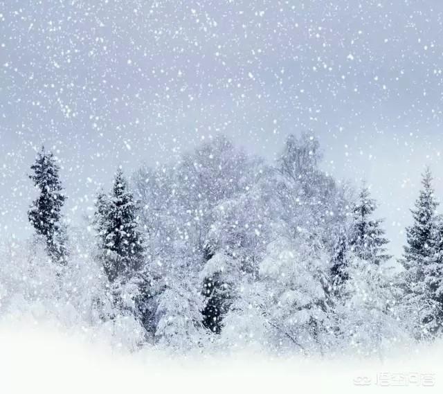 有哪些赞美雪景的诗句？