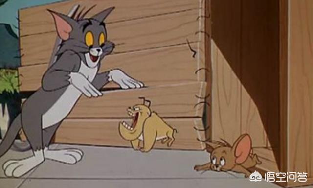 舅舅吃猫鼠:经典动画《猫和老鼠》中，有哪些角色是汤姆最不敢招惹的？