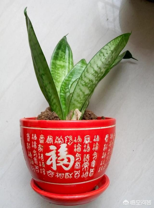 压抑的情绪的句子:经常感到郁闷、心情沉重、开心不起来，该如何调整自己？