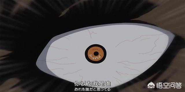 海贼王里面的红鼻子是什么动物:海贼王中四皇凯多的三大灾害果实能力是猛犸象，蝎子与乌鸦？